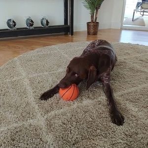 Meet your Posher, Debbie